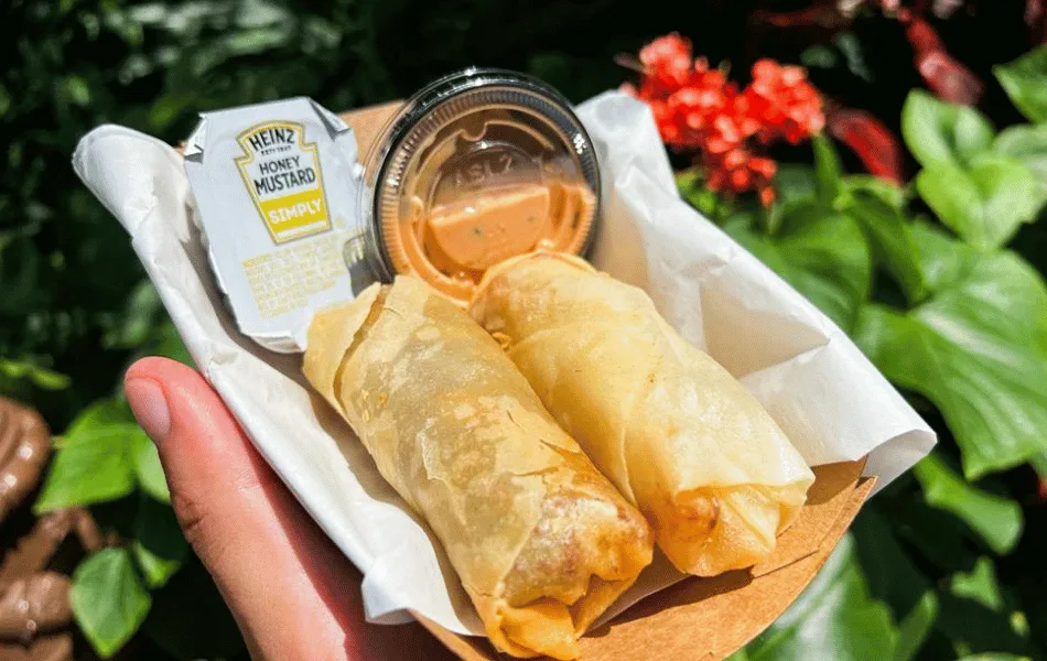 Cheeseburger Spring Rolls